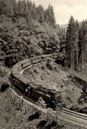 Ak Harzquerbahn auf der Strecke, Wald