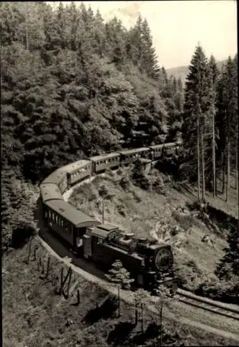 Ak Harzquerbahn auf der Strecke, Wald