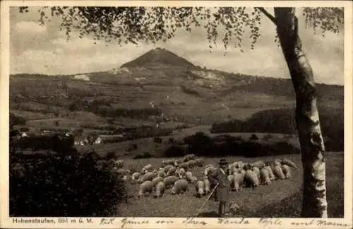 Ak Hohenstaufen, Hirte mit seiner Schafherde