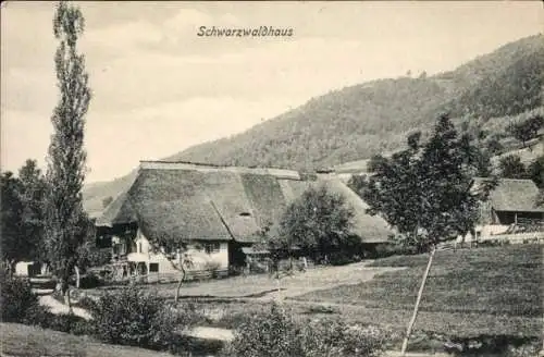 Ak Schwarzwald, Schwarzwaldhaus