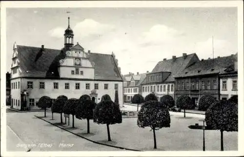 Ak Belgern an der Elbe Sachsen, Markt