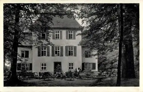 Ak Schwarzburg in Thüringen, Waldrestaurant und Pensionshaus Jagdschloss, Fasanerie