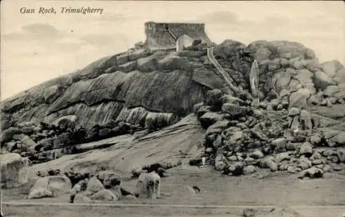 Ak Trimulgherry Indien, Gun Rock