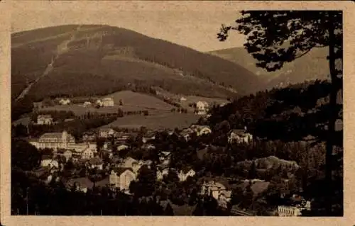 Ak Janské Lázně Johannisbad Reg. Königgrätz, Stadtpanorama, Wald