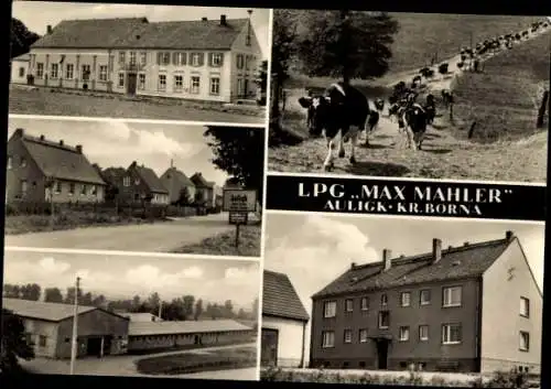 Ak Auligk Groitzsch in Sachsen, LPG Max Mahler