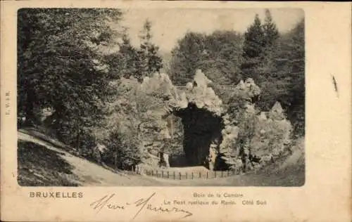 Ak La Panne De Panne Westflandern, Bois de la Cambre, Le Pont rustique du Ravin, Cote Sud