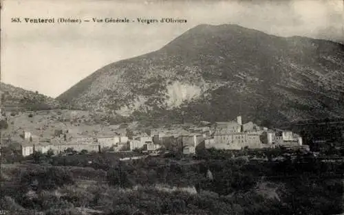 Ak Venterol Drôme, Vue Generale, Vergers d'Oliviers