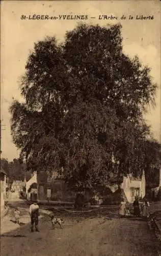 Ak Saint Léger en Yvelines, L'Arbre de la Liberte