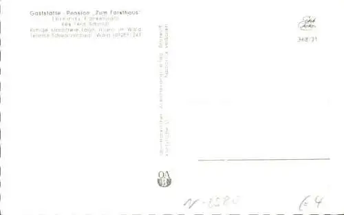 Ak Thiemitz Schwarzenbach am Wald Oberfranken, Gaststätte Pension Zum Forsthaus, Terrasse