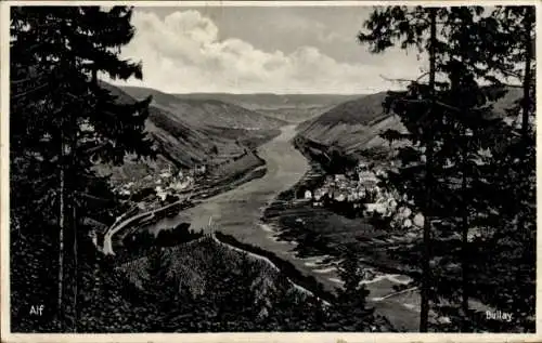 Ak Alf an der Mosel, Bullay, Panorama