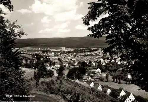 Ak Meschede im Sauerland, Gesamtansicht