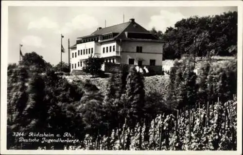 Ak Rüdesheim am Rhein, Deutsche Jugendherberge