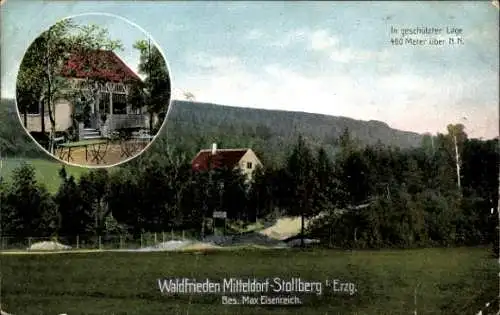 Ak Mitteldorf Stollberg im Erzgebirge, Waldfrieden, Bes. Max Eisenreich, Waldlandschaft