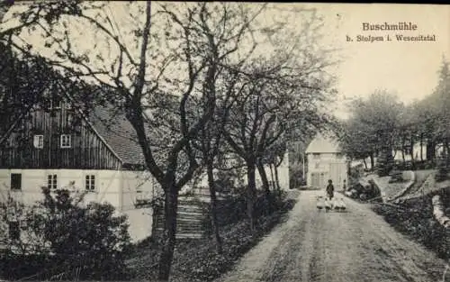 Ak Buschmühle Stolpen Sachsen, Dorfpartie