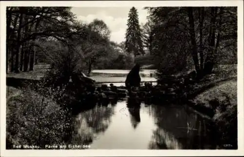 Ak Bad Muskau in der Oberlausitz, Park am Eichersee