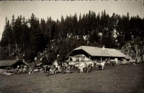 Ak Kandersteg Kanton Bern, Sennerei-Ferienheim, Jugendherberge, Läger Oeschinensee