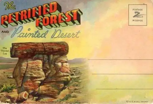 9 Ak beidseitig bedruckt,"the petrified forest and painted desert" Holbrook Grand-Canyon Arizona USA