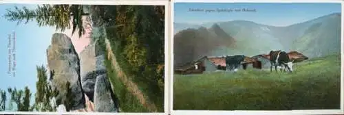 20 AK aus den VOGESEN 