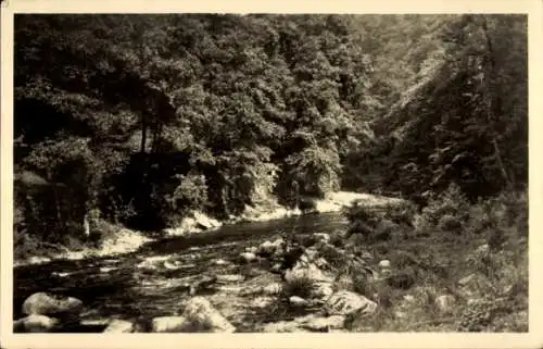 Ak Schwarzburg in Thüringen, Schwarzatal