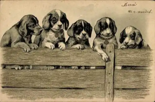 Präge Litho Fünf Hundewelpen an einem Holzzaun