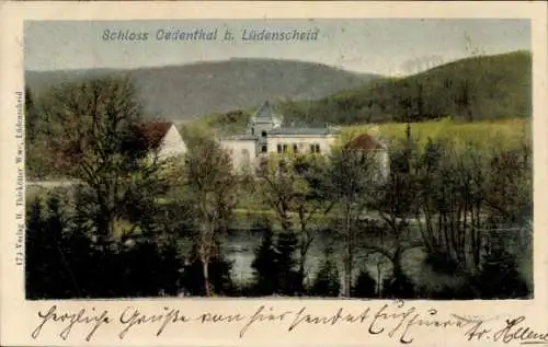 Ak Lüdenscheid im Märkischen Kreis, Schloss Oedenthal