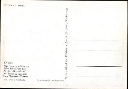 Ak Scinawa Polska Polnisch Steine Schlesien, Schafe am Ufer vom Schwarzen See