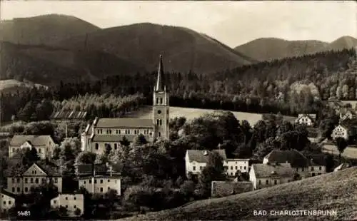 Ak Jedlina Zdrój Bad Charlottenbrunn Schlesien, Gesamtansicht