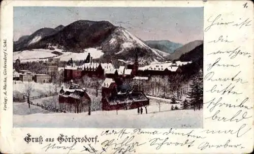 Ak Sokołowsko Görbersdorf Schlesien, Blick auf den Ort, Winter