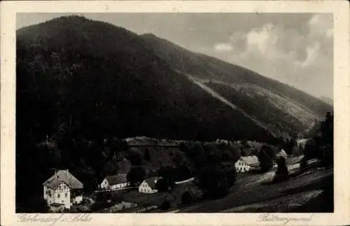 Ak Sokołowsko Görbersdorf Schlesien, Büttnergrund