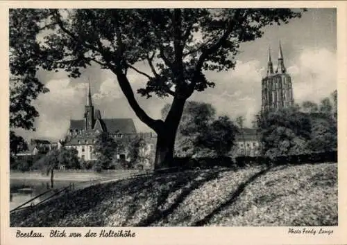 Ak Wrocław Breslau Schlesien, Blick von der Holteihöhe, Dominsel