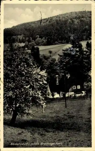 Ak Sokołowsko Görbersdorf Schlesien, Brachvogel Haus