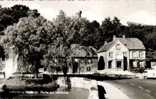 Ak Lütjenburg in Holstein, Stadtteich, Teilansicht