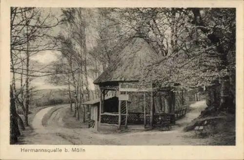 Ak Mölln im Herzogtum Lauenburg, Hermannsquelle