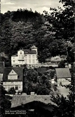 Ak Bad Grund im Harz, Waldhaus