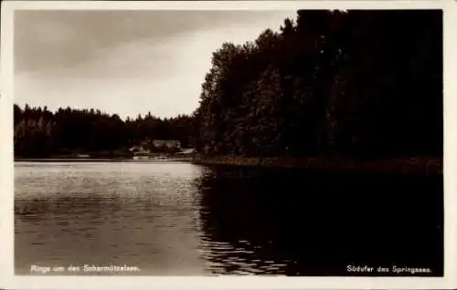 Ak Diensdorf Radlow am Scharmützelsee, Teilansicht, Springsee, Südufer