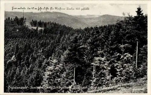 Ak Bad Steben in Oberfranken, Steinbach, Panorama