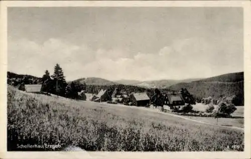 Ak Schellerhau Altenberg im Erzgebirge, Gesamtansicht