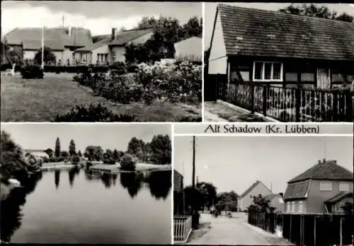 Ak Alt Schadow im Spreewald, Teilansichten, Straßenpartie, Wohnhäuser