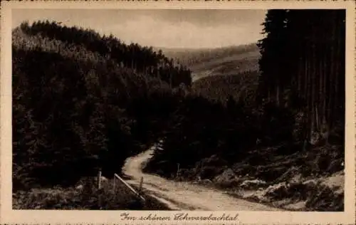 Ak Mirsk Friedeberg am Queis Schlesien, Partie vom Schwarzbachtal, Wald