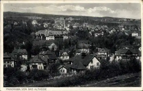 Ak Polanica Zdrój Bad Altheide Schlesien, Panorama vom Ort