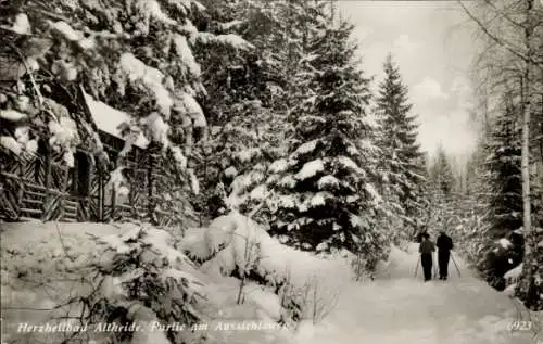 Ak Polanica Zdrój Bad Altheide Schlesien, Aussichtsweg, Winter