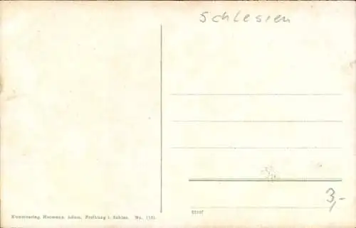 Ak Szczawno Zdrój Bad Salzbrunn Niederschlesien, Schwedenteich