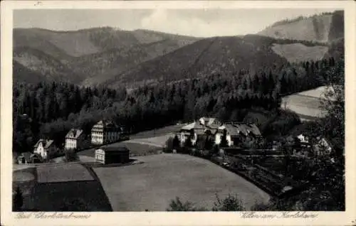 Ak Jedlina Zdrój Bad Charlottenbrunn Schlesien, Karlshain, Villen, Felder, Berglandschaft