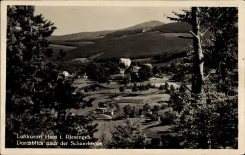 Ak Przesieka Hain Podgórzyn Giersdorf Riesengebirge Schlesien, Gesamtansicht, Schneekoppe