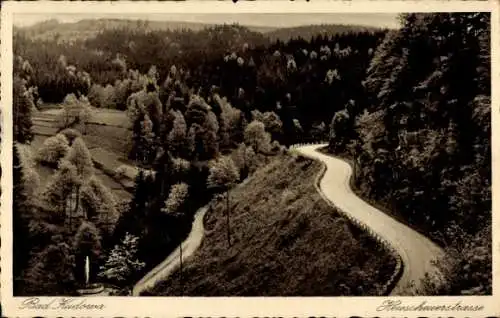 Ak Kudowa Zdrój Bad Kudowa Schlesien, Heuscheuerstraße