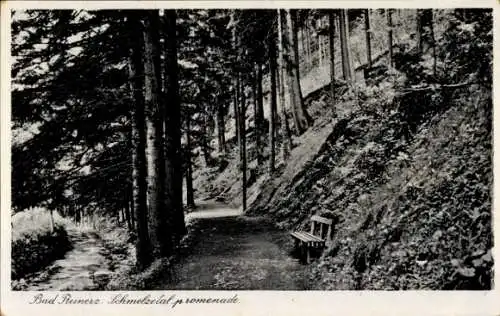 Ak Duszniki Zdrój Bad Reinerz Schlesien, Schmelzepromenade