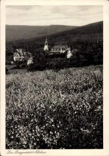 Ak Świeradów Zdrój Bad Flinsberg Schlesien, Isergebirge, blühende Wiese