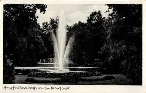 Ak Polanica Zdrój Bad Altheide Schlesien, Kurpark, Springbrunnen