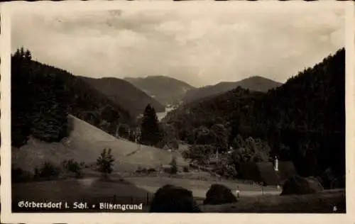 Ak Görbersdorf Schlesien, Blick in den Blitzengrund