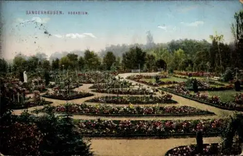 Ak Sangerhausen am Südharz, Rosarium